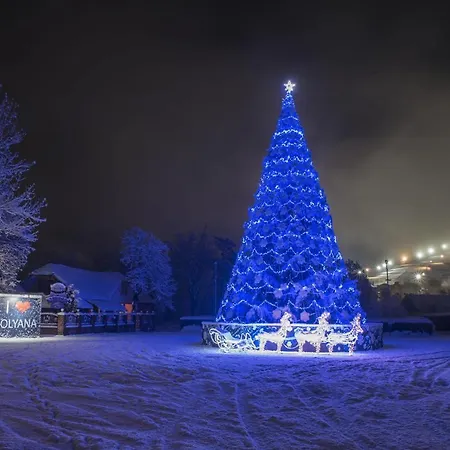 Guest house сонячна соната Polyana (Transcarpathia)