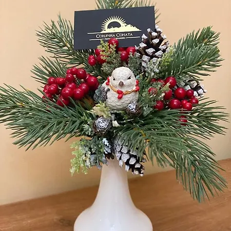 сонячна соната 3*