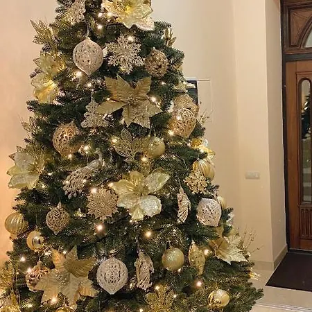 сонячна соната 3* Polyana (Transcarpathia)