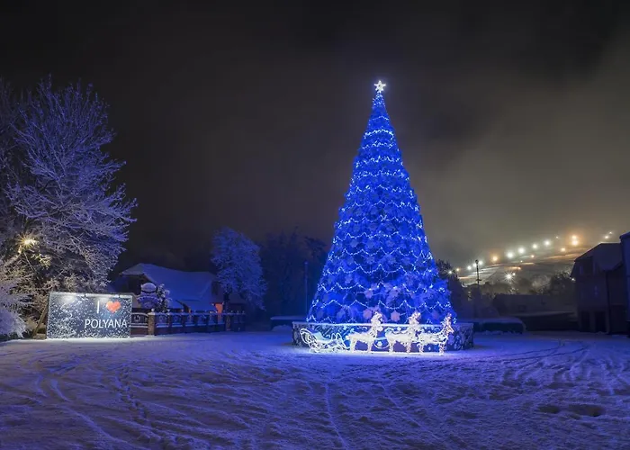 Guest house сонячна соната Polyana (Transcarpathia)