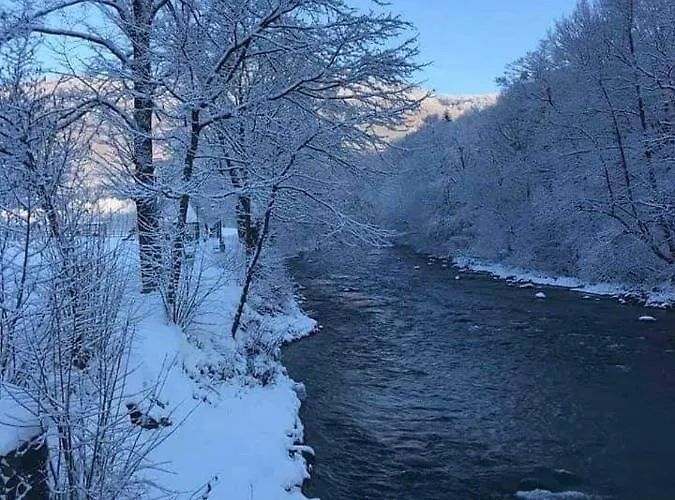 сонячна соната Guest house Polyana (Transcarpathia)