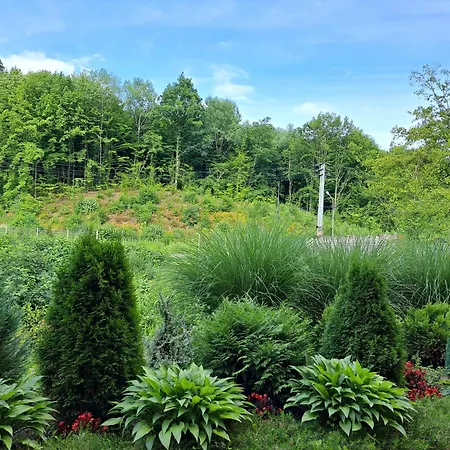 сонячна соната 3* 波利亚纳