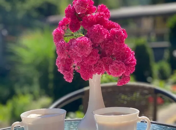 сонячна соната 波利亚纳