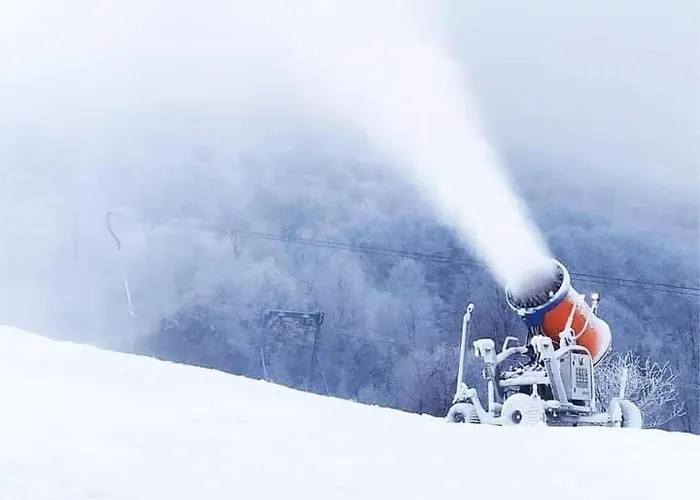 сонячна соната 3*