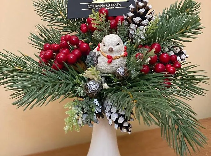 сонячна соната 3*