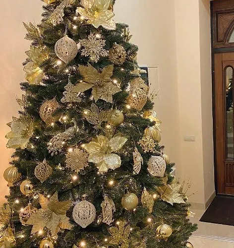 сонячна соната 3* 波利亚纳