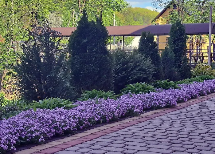 сонячна соната 招待所