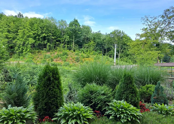 сонячна соната 3* 波利亚纳