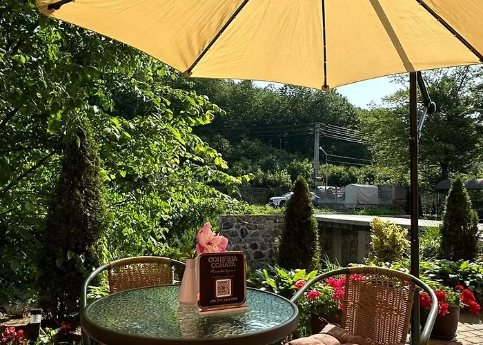 сонячна соната 波利亚纳